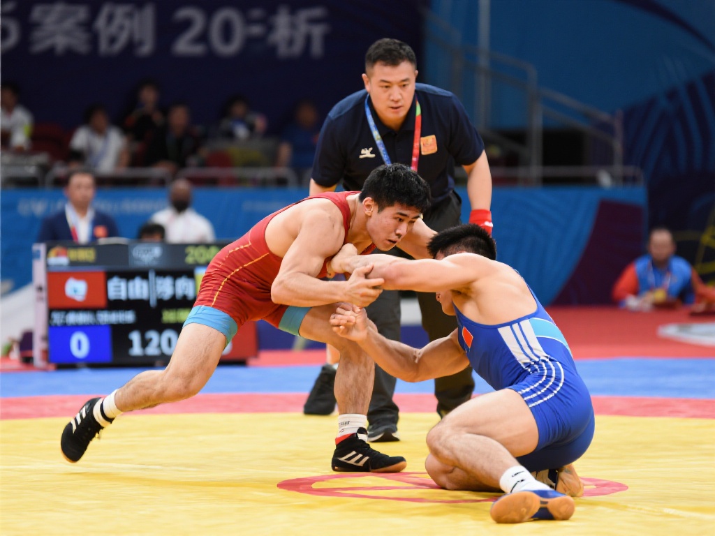 提供了一个 提供了一个